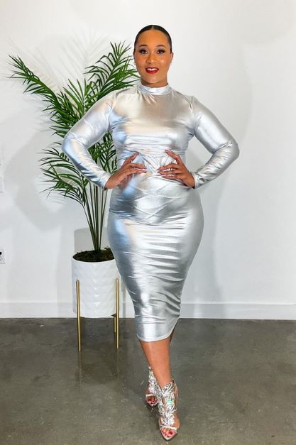 Silver Shadow Long Sleeve Plus Size Dress